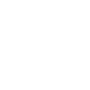 professional services